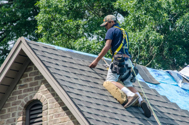 Gutter Installation and Roofing in East Bronson, FL